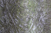 Grappenhall fibreglass roof work